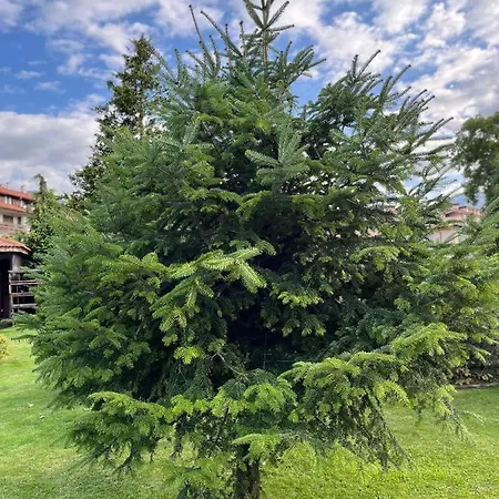 Royal Towers - 856 * 班斯科