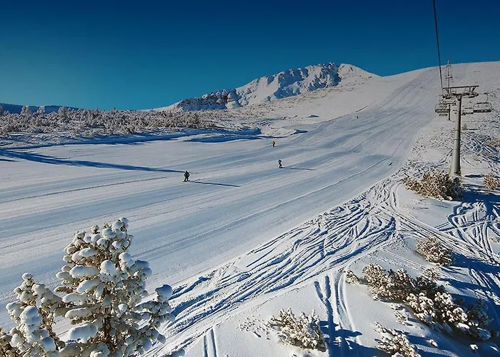 Royal Towers - 856 *